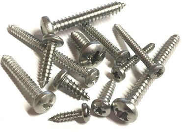 kopen De duidelijke Aandrijving Kruis In een nis gezet Pan Head Tapping Screw SS 304 Gemaakte 316 van Pozi/PZ- online manufacture