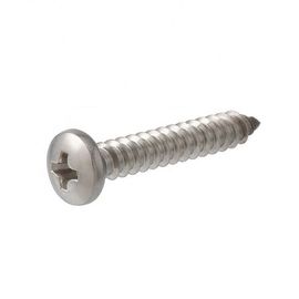 Kruis In een nis gezet Pan Head Stainless Steel Self die Schroevenzink Geplateerd Type onttrekken