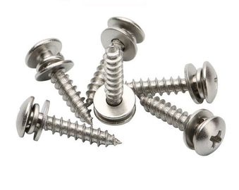 Aangepaste Dwars In een nis gezette de Duidelijke Wasmachineassemblage van Pan Head Tapping Screw And